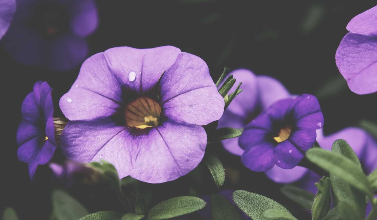 A practical guide to building a simple archive